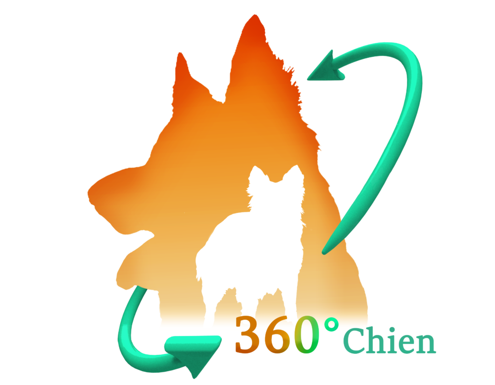 360 Degrés Chien